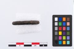 Foto von Bronzering (NHMW-PRAE-078097)